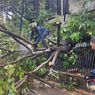 Hujan Deras Disertai Angin Kencang, Sejumlah Pohon Tumbang di Jaksel