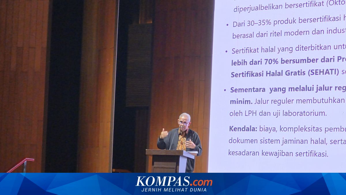 Ketua LPS Ungkap Sejumlah PR Pengembangan Industri Halal di Indonesia