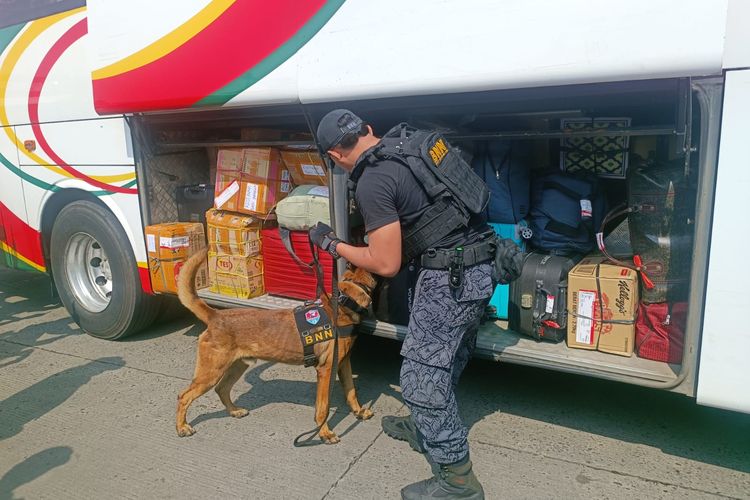 Badan Narkotika Nasional Republik Indonesia (BNN RI) menurunkan dua unit anjing K-9 bernama Jorse dan Lola ke Terminal Kampung Rambutan, Ciracas, Jakarta Timur, Selasa (18/4/2023).