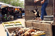 Di Manado, Anjing Mati Dijual Kembali untuk Dikonsumsi