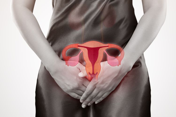 Serviks sebagai organ reproduksi wanita menghasilkan lendir yang membantu proses pembuahan. Keluarnya lendir serviks dipengaruhi kadar estrogen.