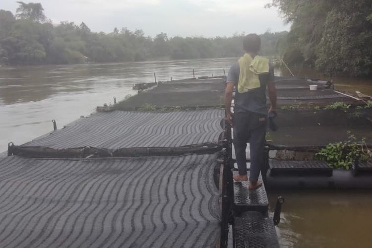 Ujang (32) melihat keramba ikan miliknya di Sungai Kampar Desa Alam Panjang, Kecamatan Rumbio Jaya, Kabupaten Kampar, Riau, Senin (18/12/2023).