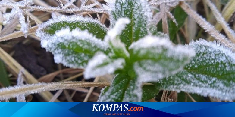 Embun Upas Dieng Muncul Lagi, Bagaimana Proses Terjadinya?