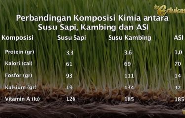 Tangkapan layar Belajar dari Rumah TVRI SMA 3 Juni 2020: perbandingan komposisi kimia antara susu sapi, susu kambing dan ASI.