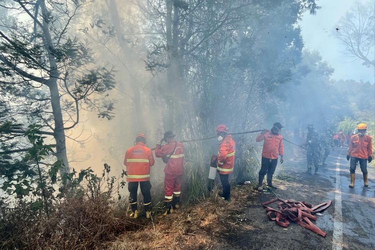 4 Gunung di Jatim Dikepung Asap Karhutla