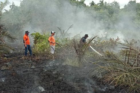 Karhutla Juga Melanda Dumai, Puluhan Petugas Diterjunkan ke Lokasi untuk Pemadaman Api