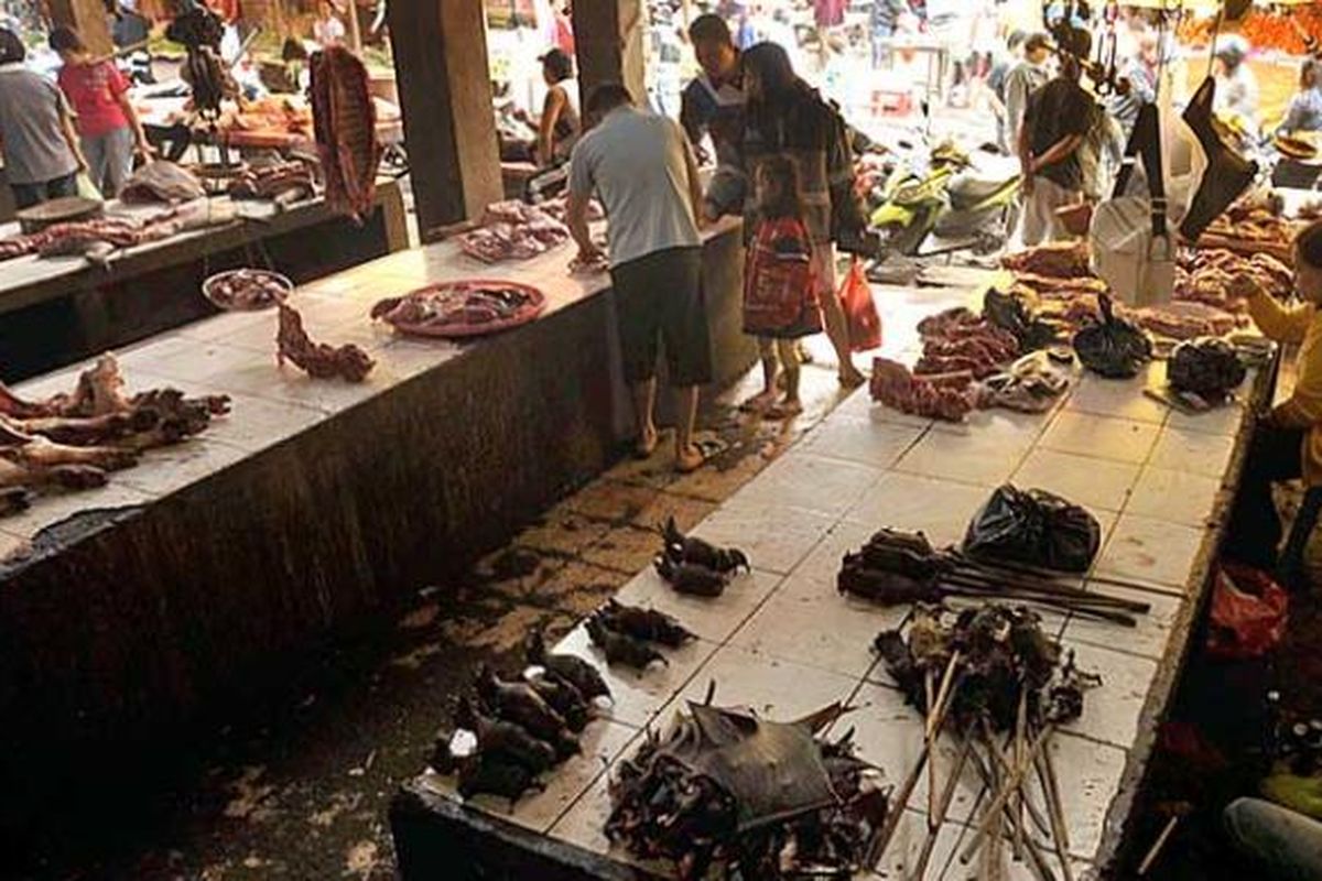 Pedagang membakar paniki (kalong) yang didapat dari pengepul sebelum dijual di Pasar Tomohon, Sulawesi Utara. Di pasar ini dijual sejumlah daging satwa liar yang merupakan hasil perburuan.