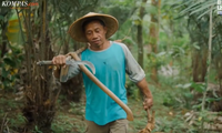 Rumah Mocaf Ajak Petani Lokal Manfaatkan Peluang Bisnis Sustainable