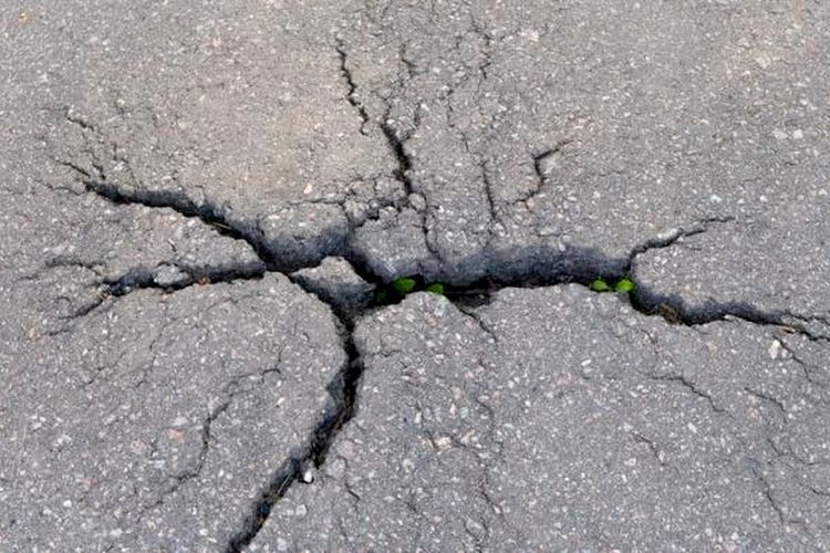 46 Gempa Guncang Lampung dalam Sehari, BMKG: Pesisir Barat dan Tanggamus Tidak Saling Berkaitan