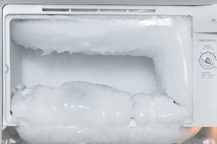 Ilustrasi bunga es di freezer. 