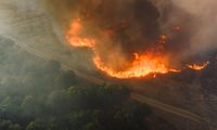 Kebakaran Hutan Terbesar di Dunia dalam Catatan Sejarah 