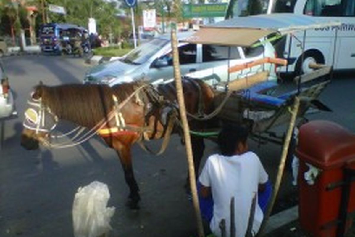 Delman masih banyak beroperasi di Garut, Jawa Barat. Diantaranya ada di Bundaran Tarogong.