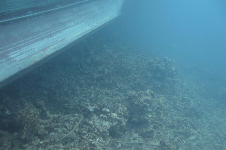 Terumbu Karang yang Rusak Akibat Dua Kapal Kandas di Kepulauan Bangka Belitung