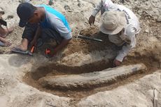 Warga Cepu Temukan Fosil Gading Gajah Purba, Diduga Berusia 200.000 Tahun
