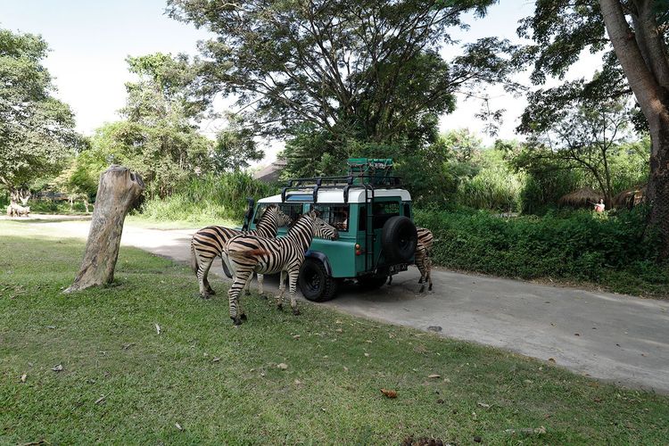 Foto Harga Tiket Bali Safari Marine Park 2020 Begini Cara Belinya 
