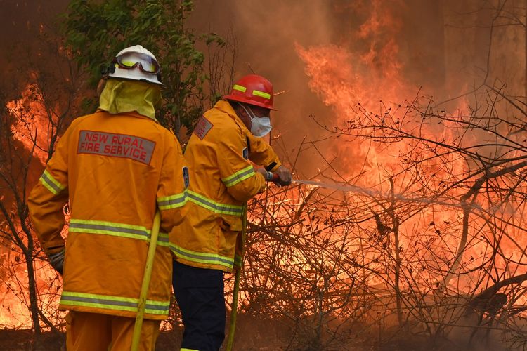 Tim pemadam kebakaran menangkal kebakaran hutan di Taree, 350 kilometer utara Sydney, Australia, pada 9 November 2019. Setidaknya tiga orang tewas dan 150 rumah hancur sejak kobaran api menjilat kawasan timur Australia.