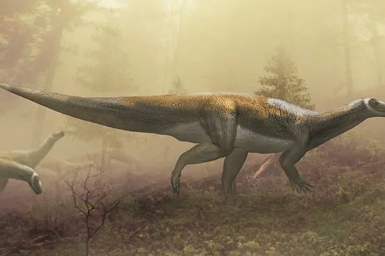 Ilustrasi dinosaurus dari keluarga Evazoum 
