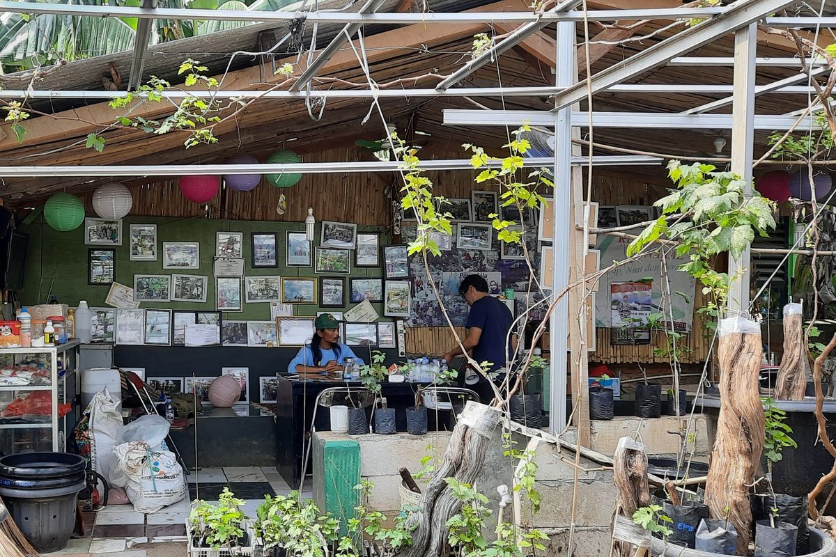 Sejak Maret 2018, Yatno Gondrong (40) memulai bisnis bibit anggur di sebelah rumahnya di daerah Duren Sawit, Jakarta Timur.