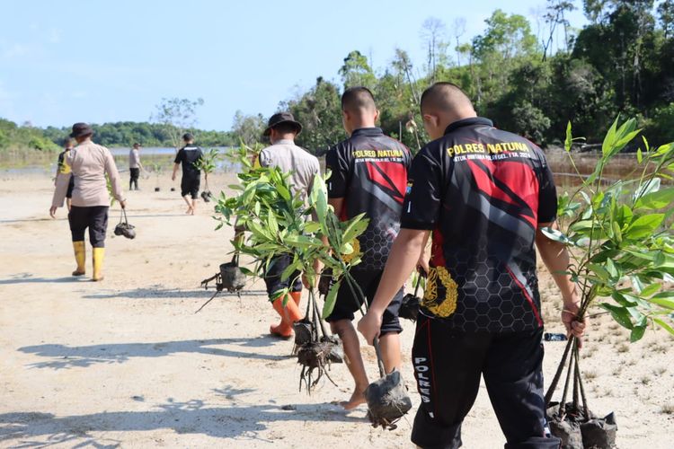 Jajaran Polres yang ada di Polda Kepulauan Riau (Kepri) serentak melakukan penanaman mangrove atau bakau guna menjaga kelestarian lingkungan di wilayah Hukum Polda Kepri dan juga memeriahkan HUT Ke-72 Humas Polri.