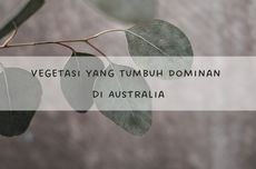 Vegetasi yang Tumbuh Dominan di Australia