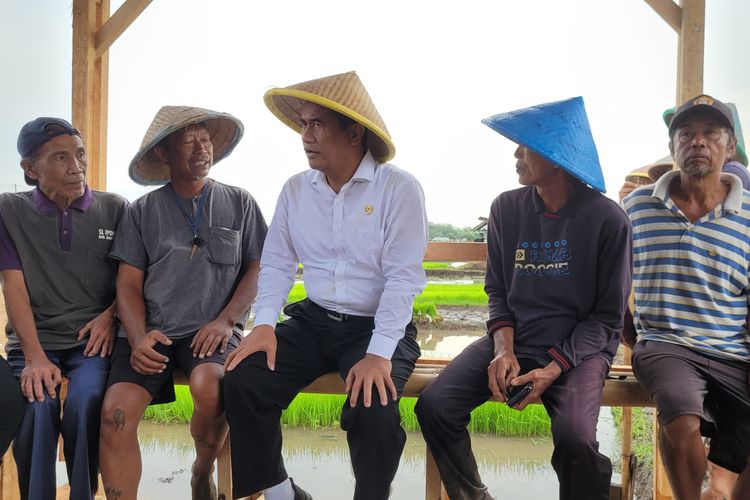 Menteri Pertanian Amran Sulaiman berbincang dengan petani di Desa Sokaraja Kidul, Kecamatan Sokaraja, Kabupaten Banyumas, Jawa Tengah, Rabu (3/1/2024).