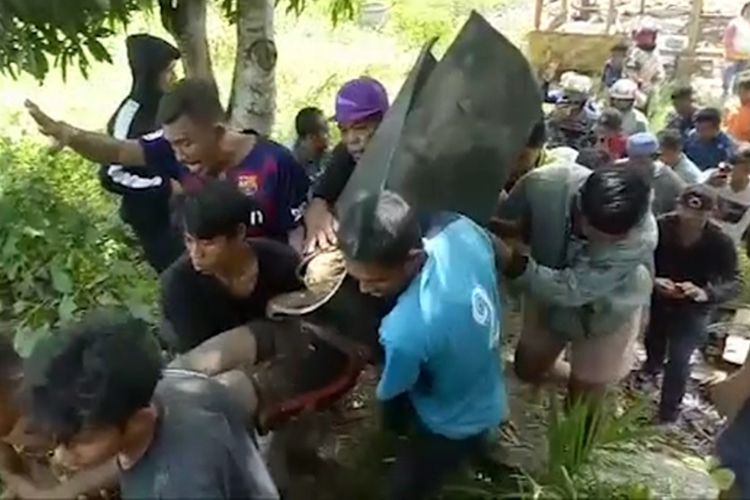 Dua warga Pasangkayu ditemukan tewas akibat diserang buaya.