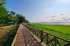 Aktivitas di Jembatan Kayu Waduk Cengklik, Bisa Memancing