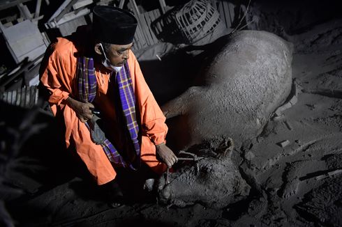 Erupsi Gunung Semeru, Pemerintah Tak Punya Alarm Peringatan Dini?