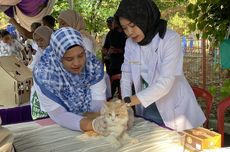 Kisah Pencinta Hewan di Tengah Ancaman Rabies...