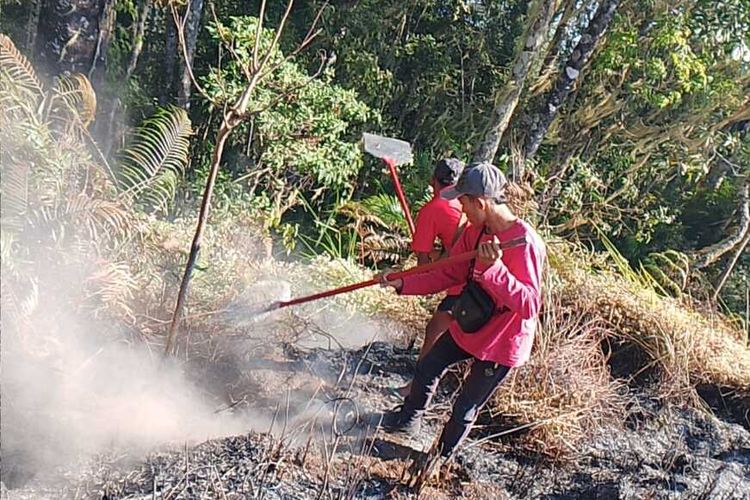 Kebakaran di Bukit Stampol TNGR Meluas, Area Terdampak Capai 723 Hektar