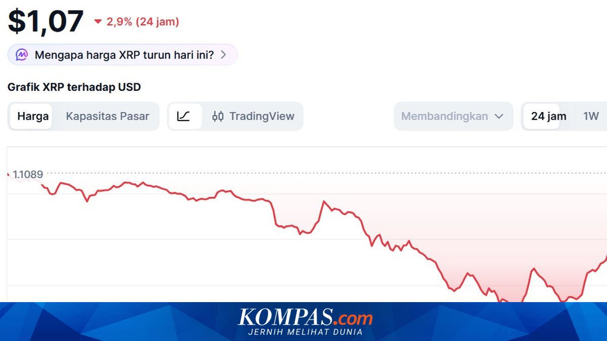 Harga XRP Hari Ini 25 Juni 2026, Terpapar Penurunan Bitcoin