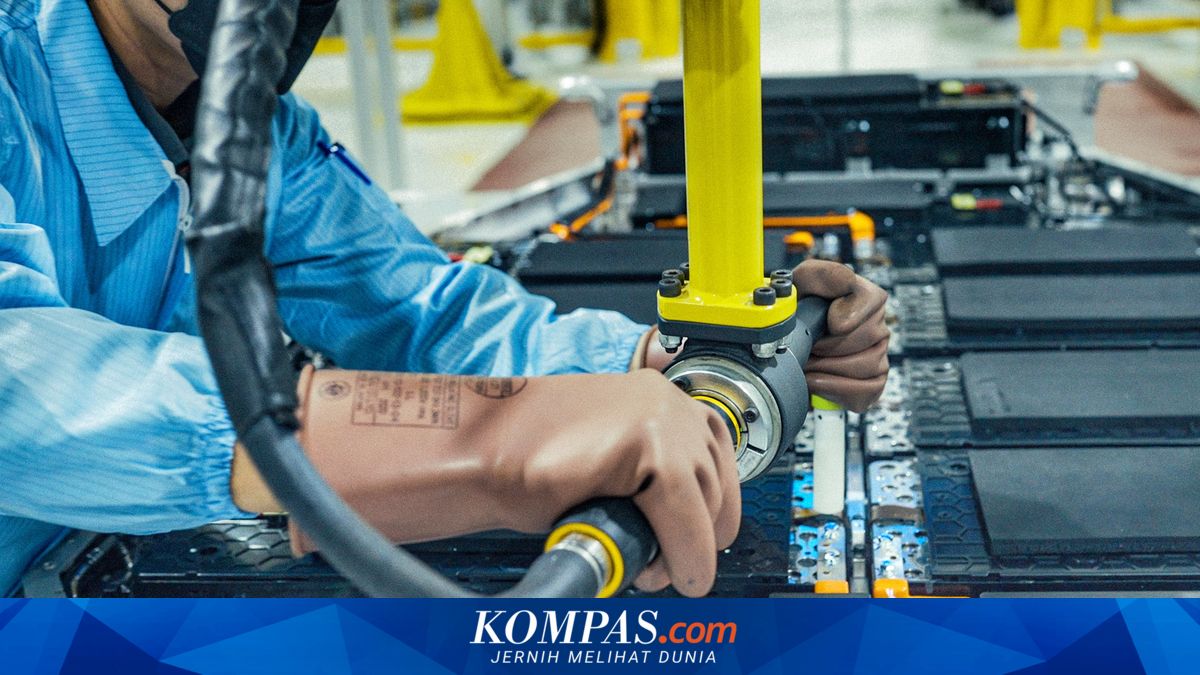 BRIN: Indonesia Jangan Terlalu Bergantung Nikel di Industri EV