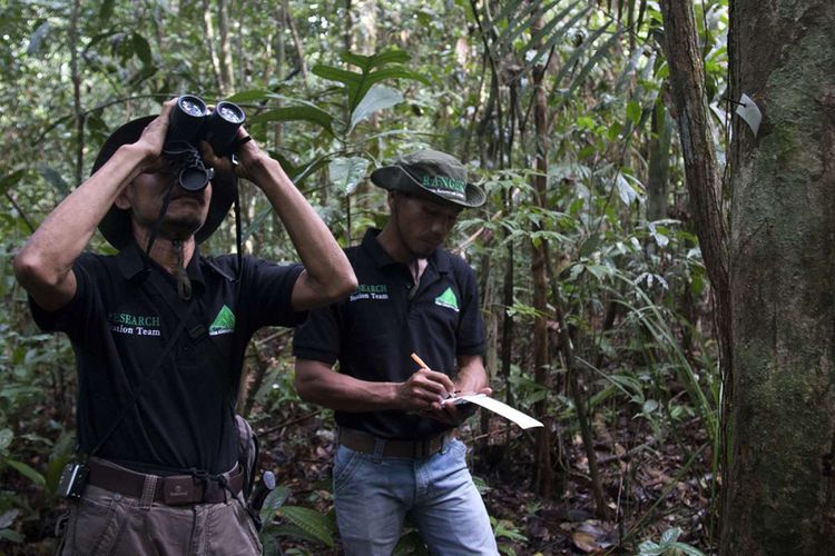 Staf riset ahli tumbuhan dan satwa sedang melakukan pemantauan dengan menggunakan teropong untuk melihat jejak satwa dan  perkembangan tumbuhan yang ada di Kawasan Ekosistem Leuser (KEL) Soraya, Kota Subulussalam, Aceh, Rabu (9/1/2018). Ranger FKL rutin melakukan patroli selama 15 hari setiap bulannya untuk menjaga kondisi hutan dari aktivitas perambahan atau illegal logging dan perlindungan terhadap satwa dilindungi dari perburuan.