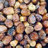 Ramadhan 2026, Pasar Kurma Melambat karena Faktor Ekonomi