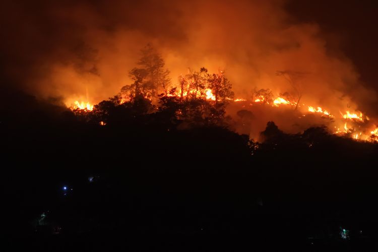 Enam Hektare Lahan Terbakar di Jayawijaya, Api Sempat Mengarah ke Permukiman Warga