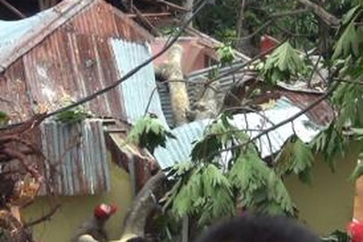 Sebuah rumah di Dusun Waimahu Desa Latuhalat tampak hancur akibat tertimpa pohon pada Jumat (17/1/2014)dinihari tadi. warga pun tampak saling membantu untuk mengangkat bangkai pohon yang menimpa rumah tersebut