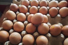 Jadi Ketua DPC PDI-P Karanganyar, Rober Ajak Pengurus Lama Kerja Sama