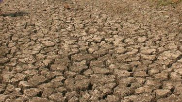 7 Daerah di Jateng Rawan Kekeringan, 123 Juta Liter Air Disiapkan