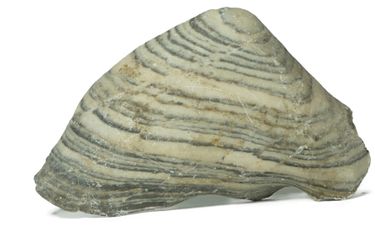 Batuan sedimen