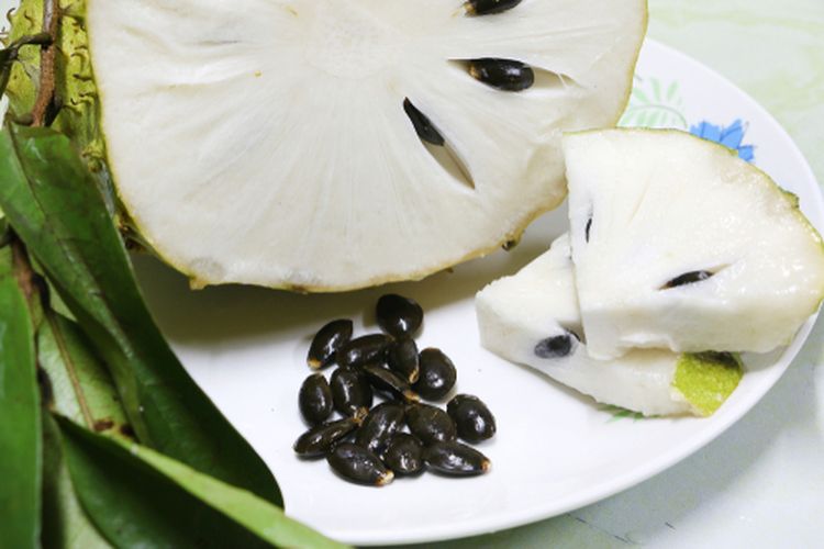 Ilustrasi biji sirsak yang dapat diolah menjadi pestisida