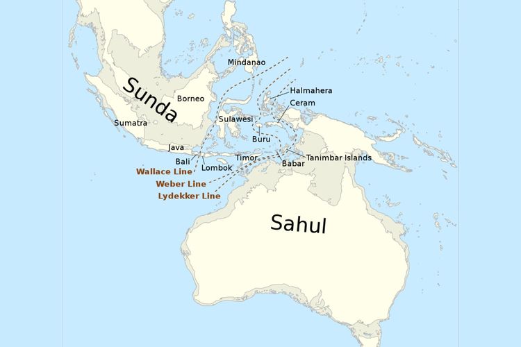 Apa yang Dimaksud Garis Weber?