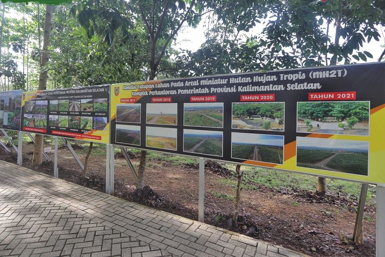 Taman Hutan Hujan Tropis Indonesia (TH2TI) yang berada di kawasan Perkantoran Pemprov Kalsel di Banjarbaru.