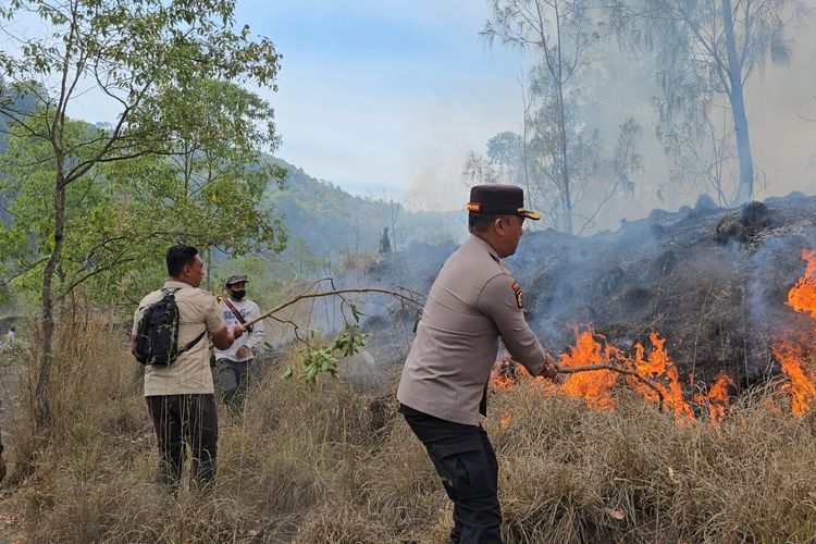 6 Hektare Hutan Konservasi di Kintamani Bali Terbakar, Api Sempat Dekati Perkebunan Warga