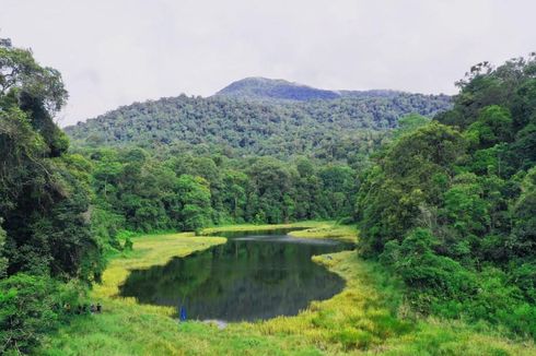 Taman Nasional Batang Gadis, Sejarah dan Paket Wisata di Dalamnya