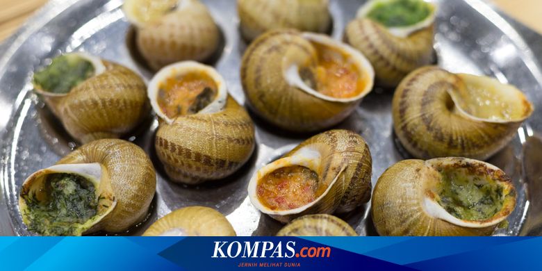 Susi Pudjiastuti Ditantang Masak Bekicot Ini Cara Mengolah Bekicot Dan Tutut Agar Aman Dikonsumsi Halaman All Kompas Com