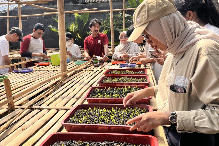 Hutan Itu Indonesia bersama Rimbaraya Indonesia meresmikan Persemaian Adopsi Hutan Rimba Lestari, Rabu (7/8/2024), bertepatan dengan peringatan HAri Hutan Indonesia yang jatuh setiap 7 Agustus. Persemaian ini terletak di wilayah Sinar Sari, Kecamatan Dramaga, Kabupaten Bogor, Jawa Barat.