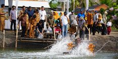 Kementerian KP, FAO, dan Pemprov Jateng Lepasliarkan 20 Kg Sidat Hasil Proyek IFish