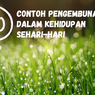 10 Contoh Pengembunan dalam Kehidupan Sehari-hari