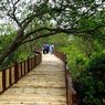 Rute dan Tips Berkunjung ke Wisata Mangrove Wonorejo Surabaya