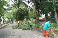 Pemerintah Kota Bekasi Pangkas Pohon Rawan Roboh